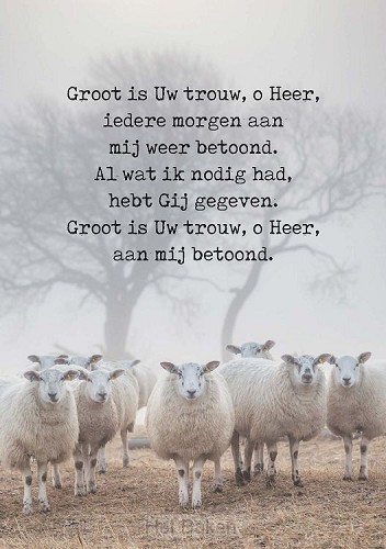 Poster Groot is uw trouw