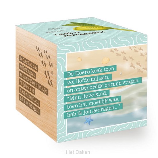 Groei Kubus hout: De Heere keek toen...