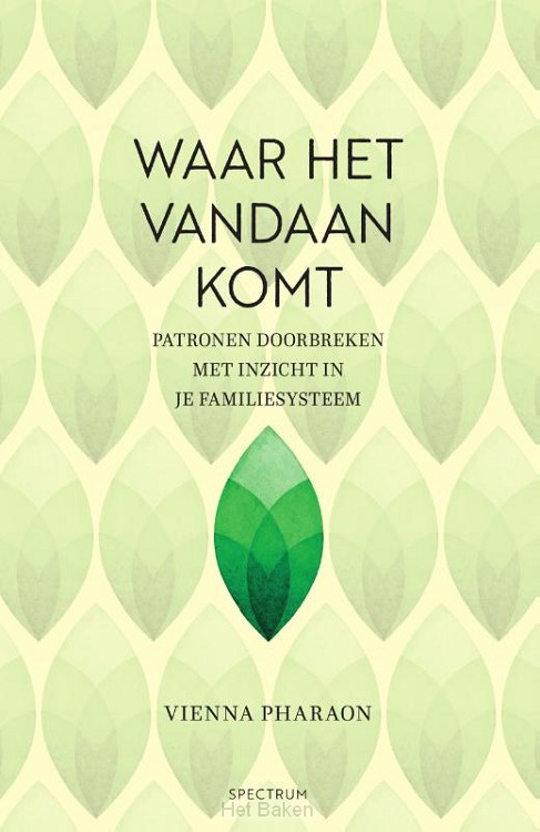 Waar het vandaan komt