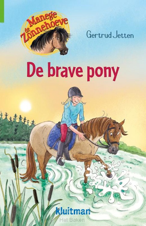 Brave pony