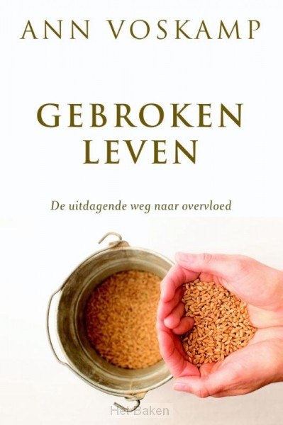 Gebroken leven