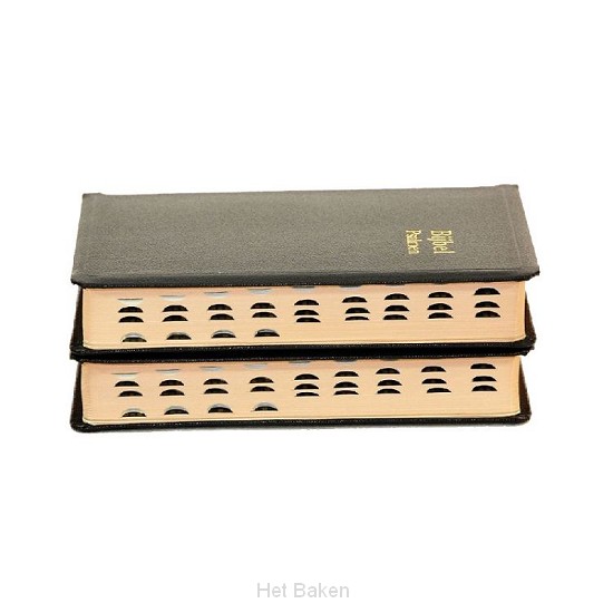 BIJBEL KUNSTLR KL SNEE DUIMGR