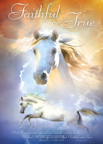 Poster 50x70 faithful