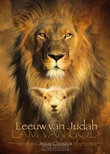 Poster 50x70 leeuw van judah