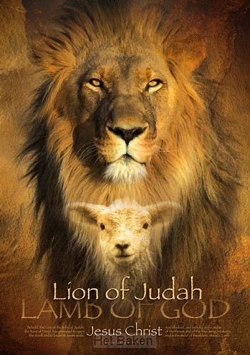 Poster A3 lion of judah