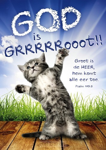Poster A3 God is groot