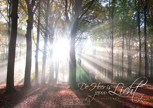 Poster A3 de Heer is jouw licht