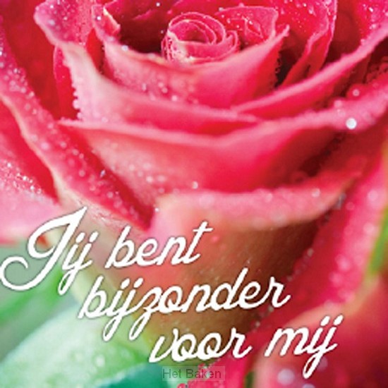 KADOKAARTJE JE BENT BIJZONDER VOOR MIJ