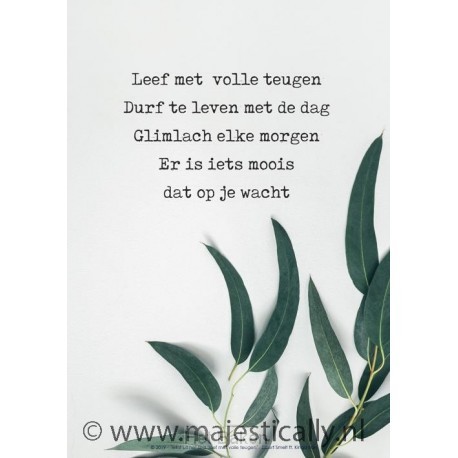 Poster a3 leef met volle teugen olijfbla