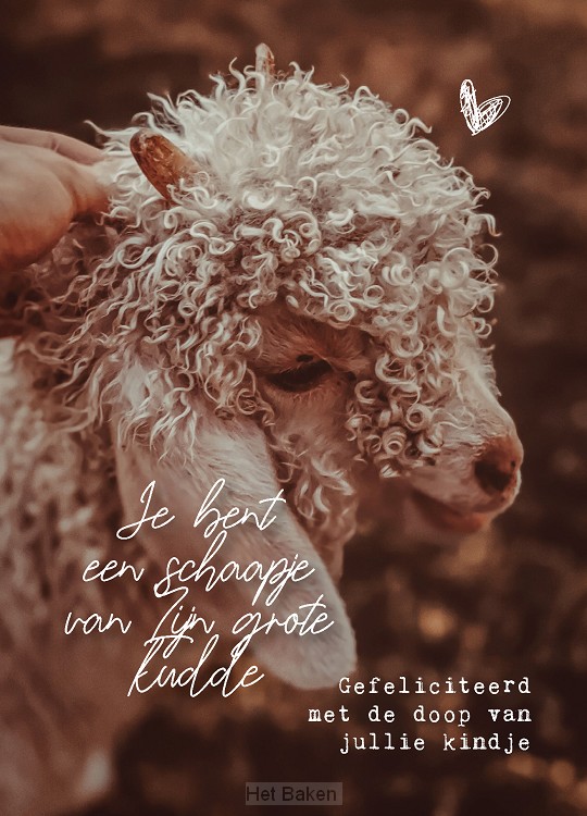 Wenskaart schaapje doop
