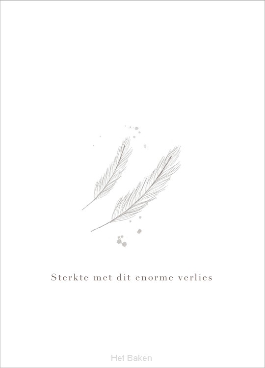 Kaart Verlies -  veertjes