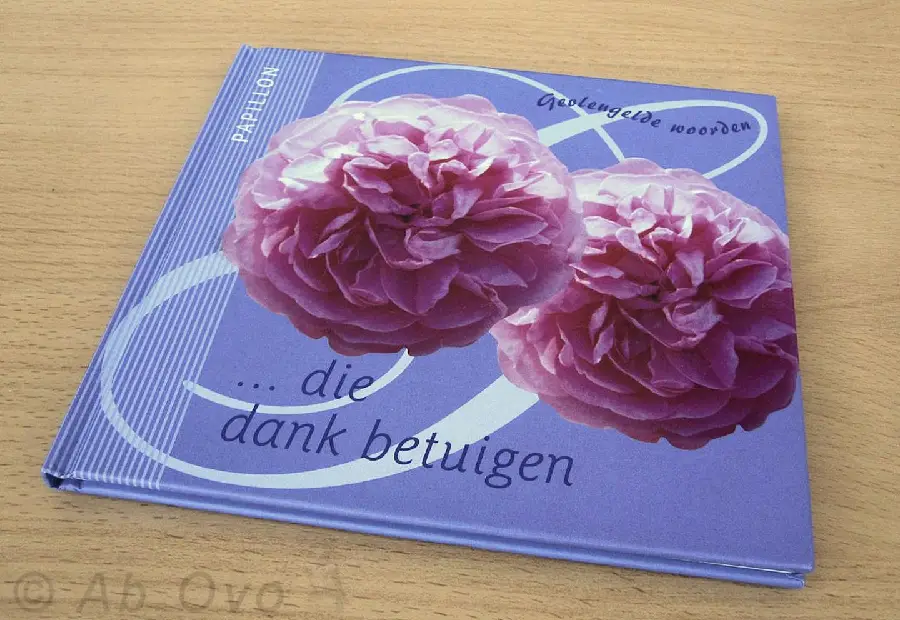 GEVLEUGELDE WOORDEN DIE DANK BETUIGEN