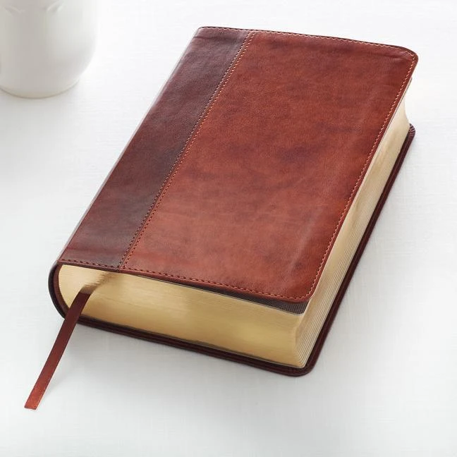 KJV Bible Giant Print Brown