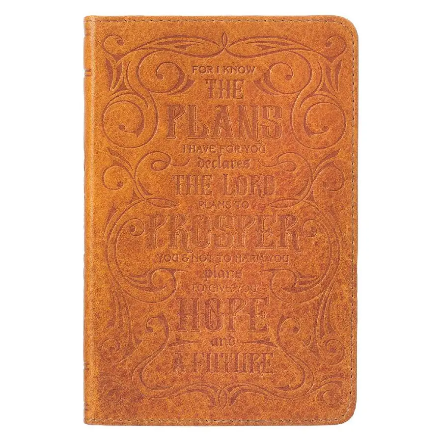 For I know the plans