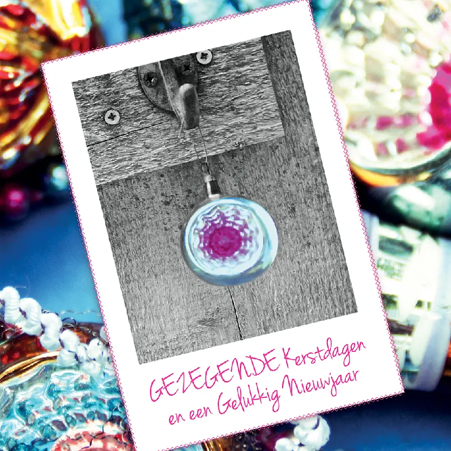 KERSTKAARTEN DOOS 20 STUKS PAARDEN