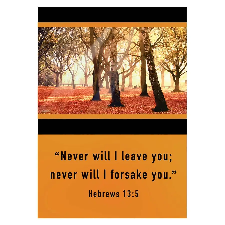 NEVER WILL I LEAVE YOU (15)