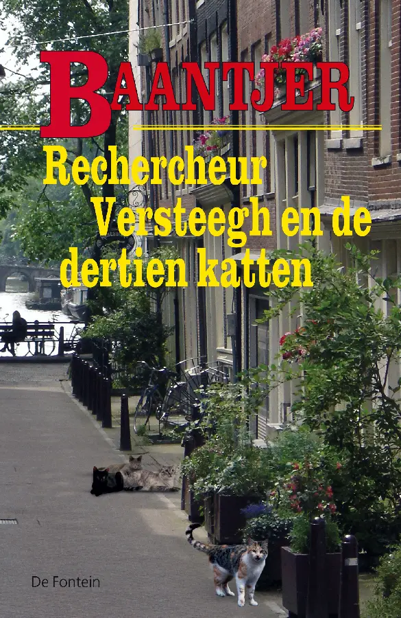 RECHERCHEUR VERSTEEGH EN DE DERTIEN KATT