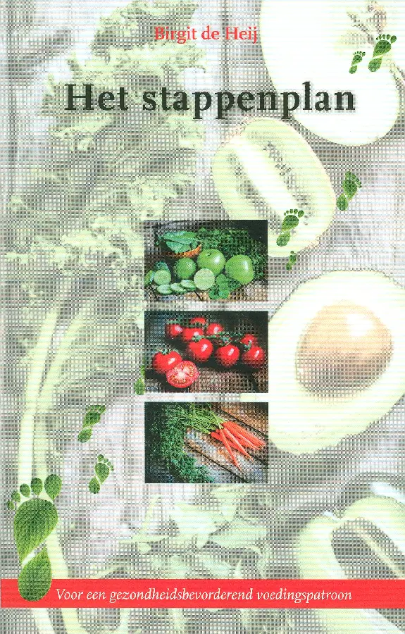 Stappenplan