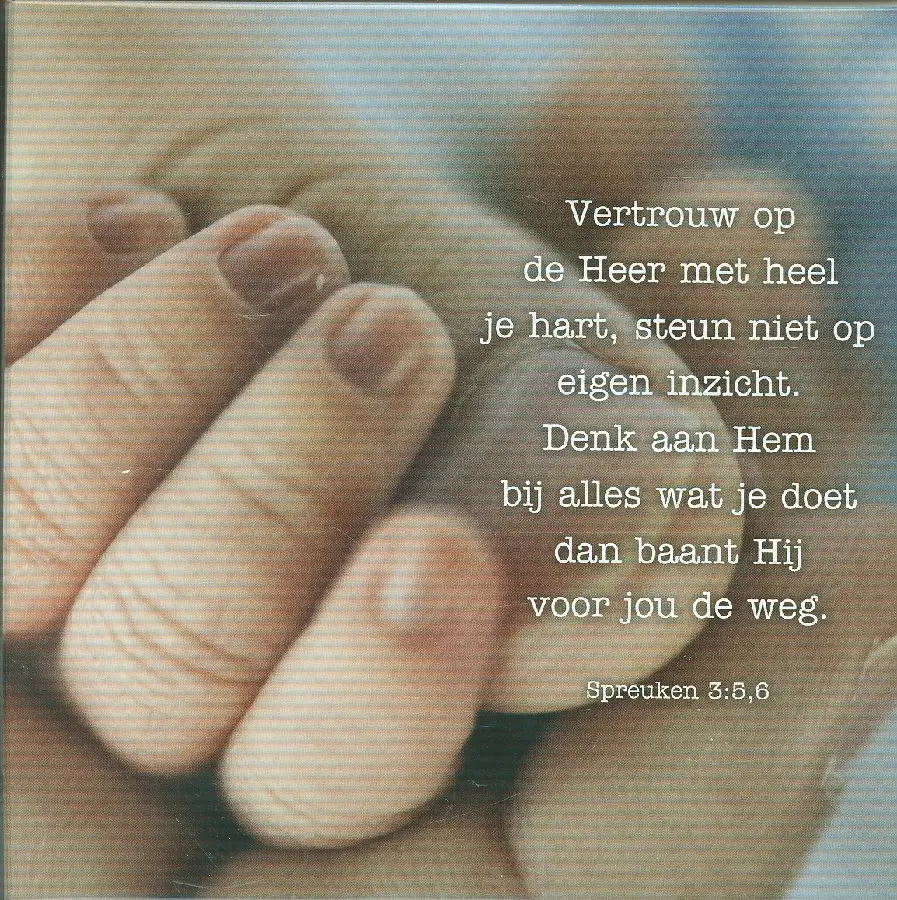 KAART VERTOUW OP DE HEER