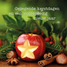 KERSTKAART STER IN APPEL GEZEGENDE KERST