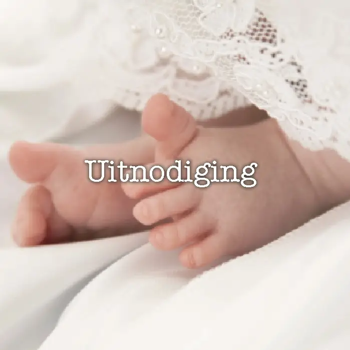 Uitnodiging kaart