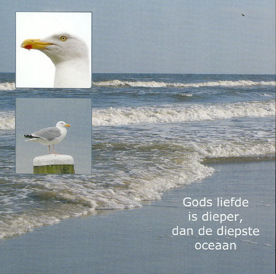Wenskaart zee
