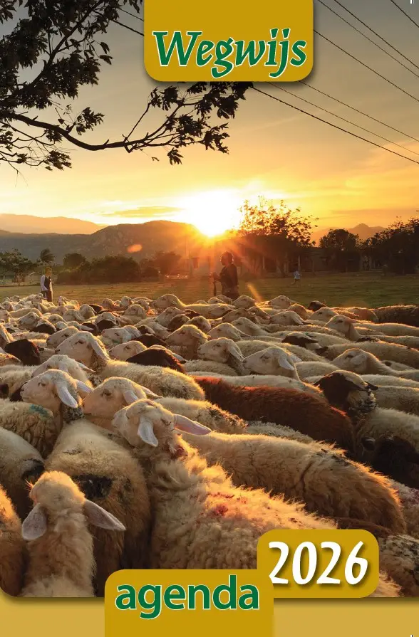 WEGWIJSAGENDA 2025