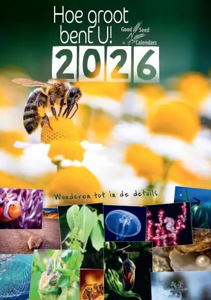 Posterkalender 2020 Hoe groot bent U