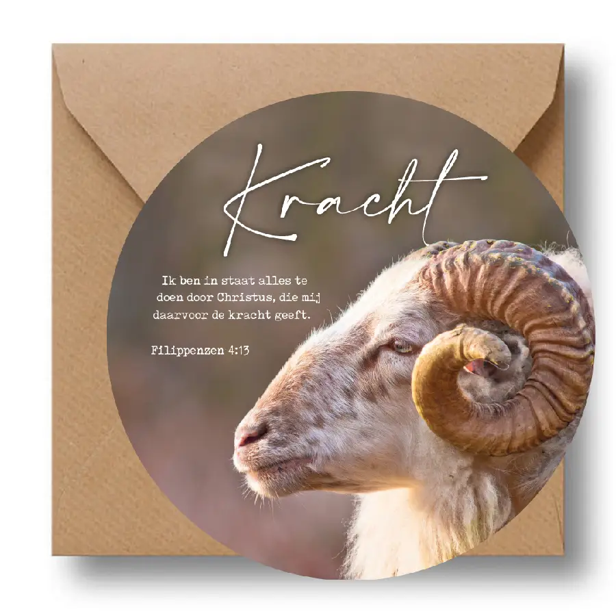 Cirkelcadeau uil