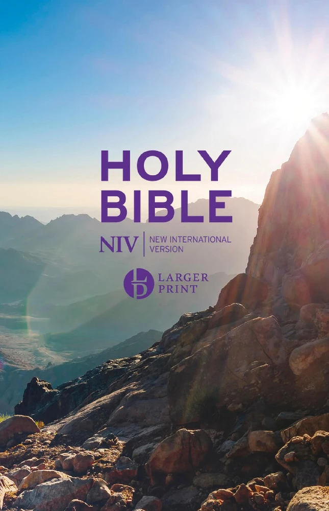 NIV - Larger Print Value Bible