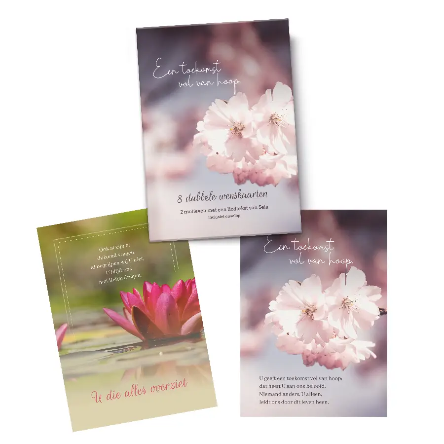 Mapje Notecards Toekomst (2 x 4)