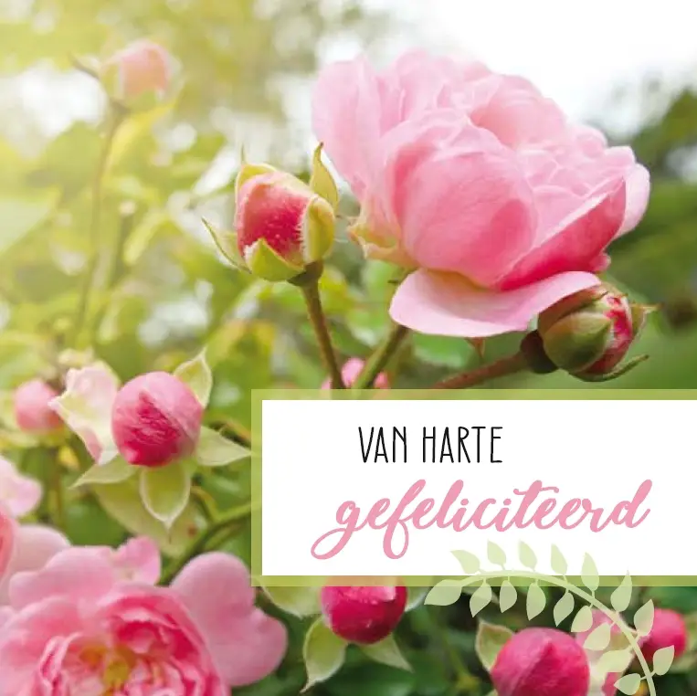 Gefeliciteerd