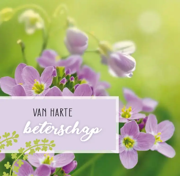 Beterschap
