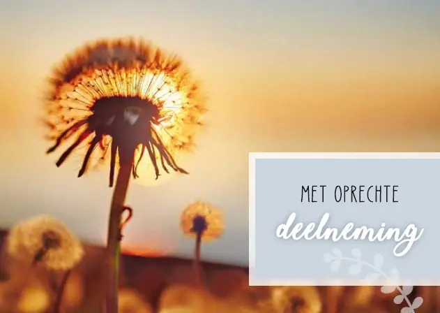 Deelneming