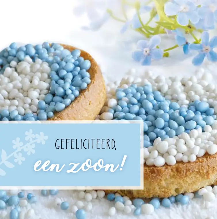 Geboorte Zoon