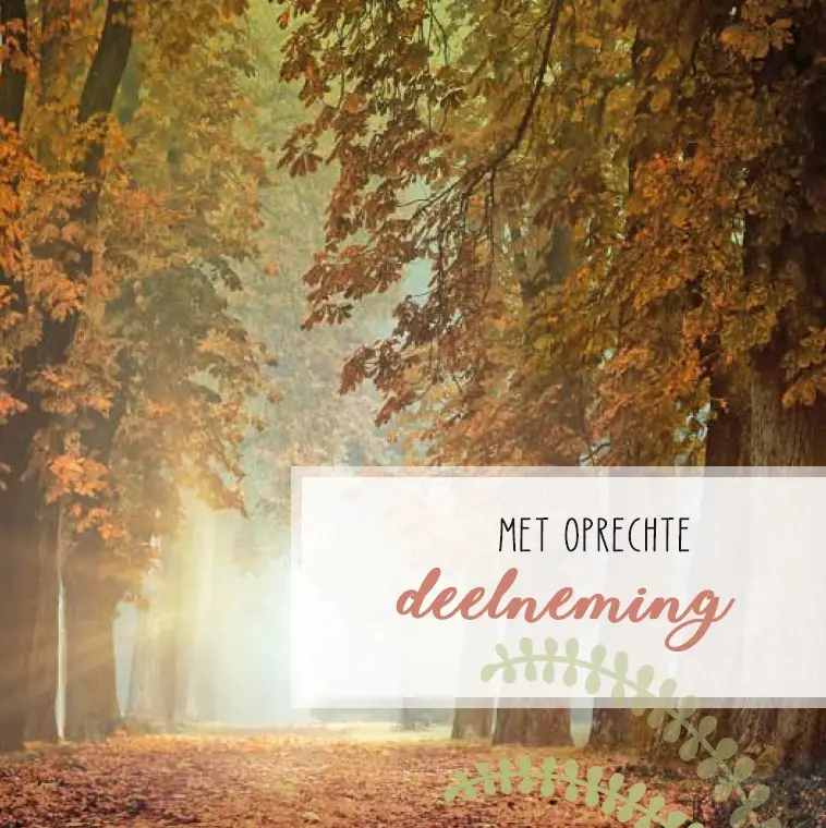 Deelneming