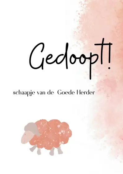 16 jaar