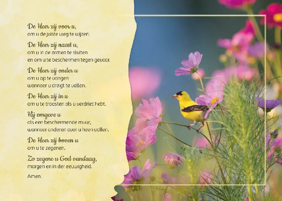 Zegen van St. Patrick