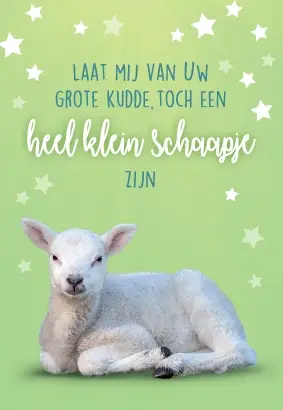 Laat mij van Uw grote kudde