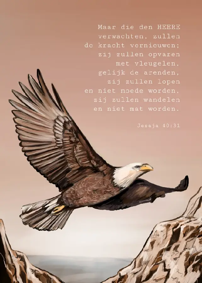 Maar die den HEERE verwachten