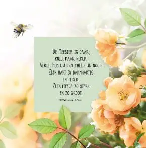 WENSKAART UITZICHT