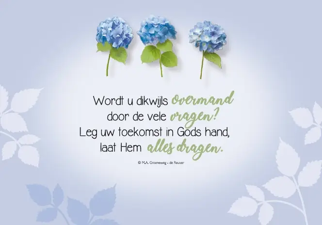WENSKAART VOOR JOU