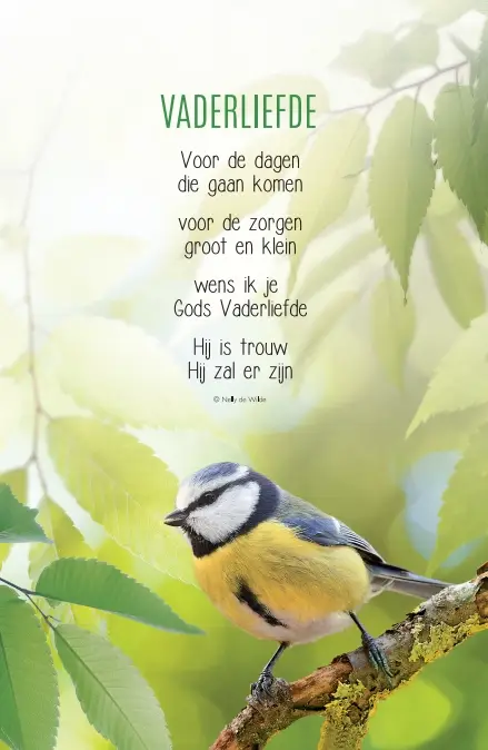 WENSKAART DE HEER IS MET U