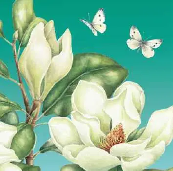 WENSKAART BLANCO