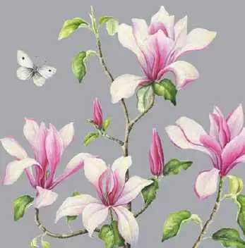 WENSKAART BLANCO