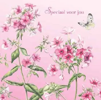 WENSKAART SPECIAAL VOOR JOU
