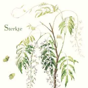 WENSKAART STERKTE