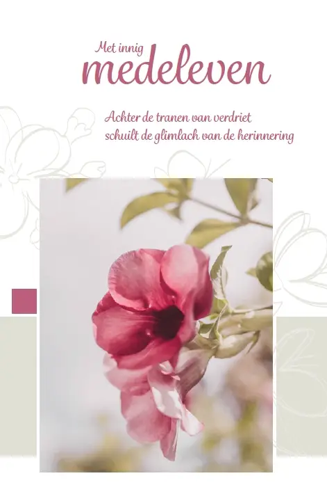 WENSKAART VEEL STERKTE MET GROTE VERLIES