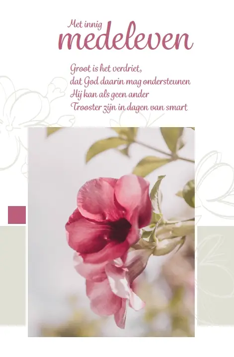 WENSKAART VEEL STERKTE MET GROTE VERLIES