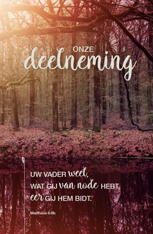 Deelneming m/t